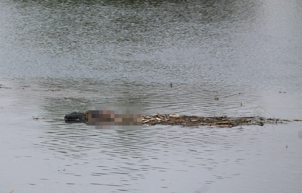 Strażacy wydobyli ciało z Wisły w Dworach. ZDJĘCIA!