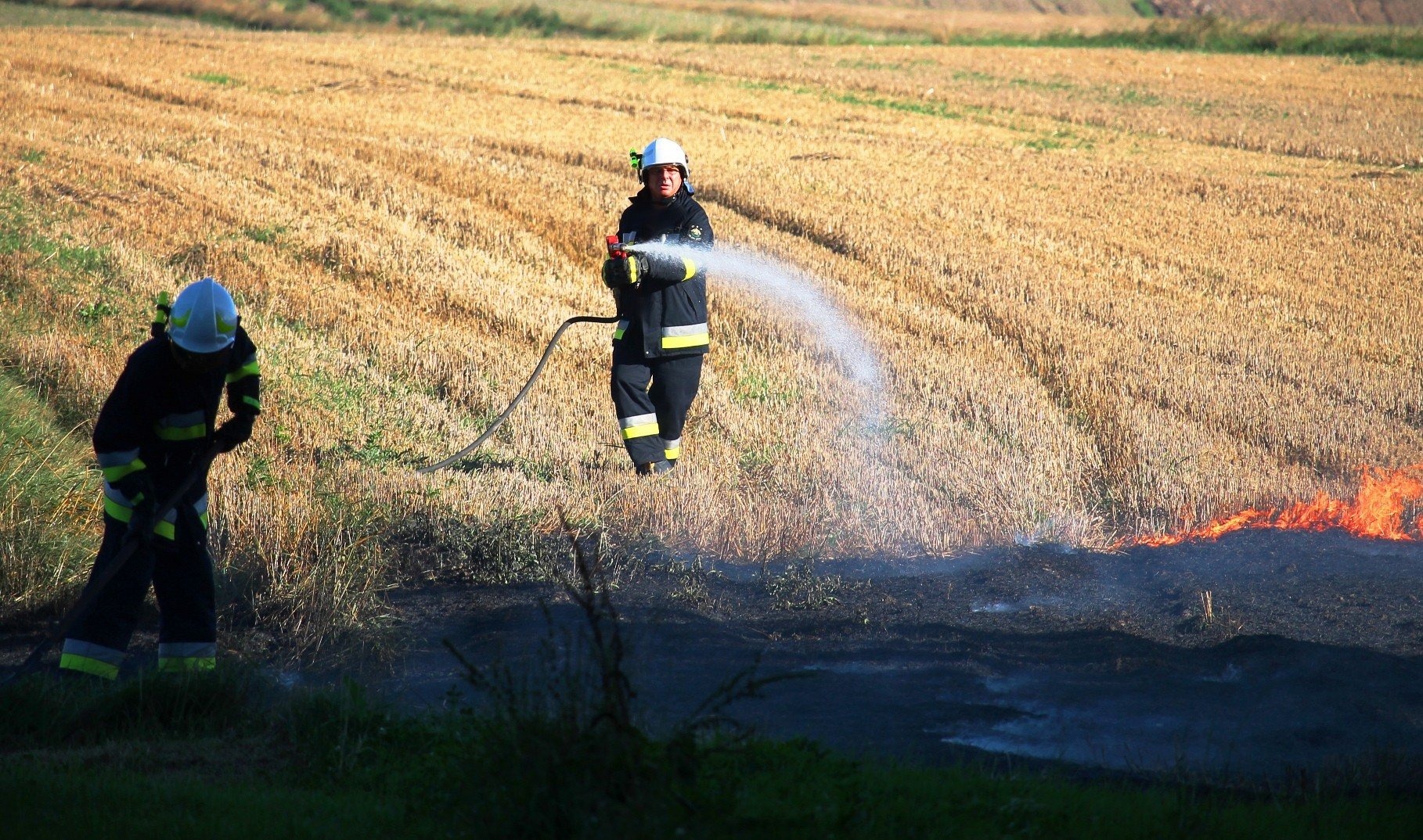 Strażacy gasili pożary ścierniska, traw i nieużytków. ZDJĘCIA!