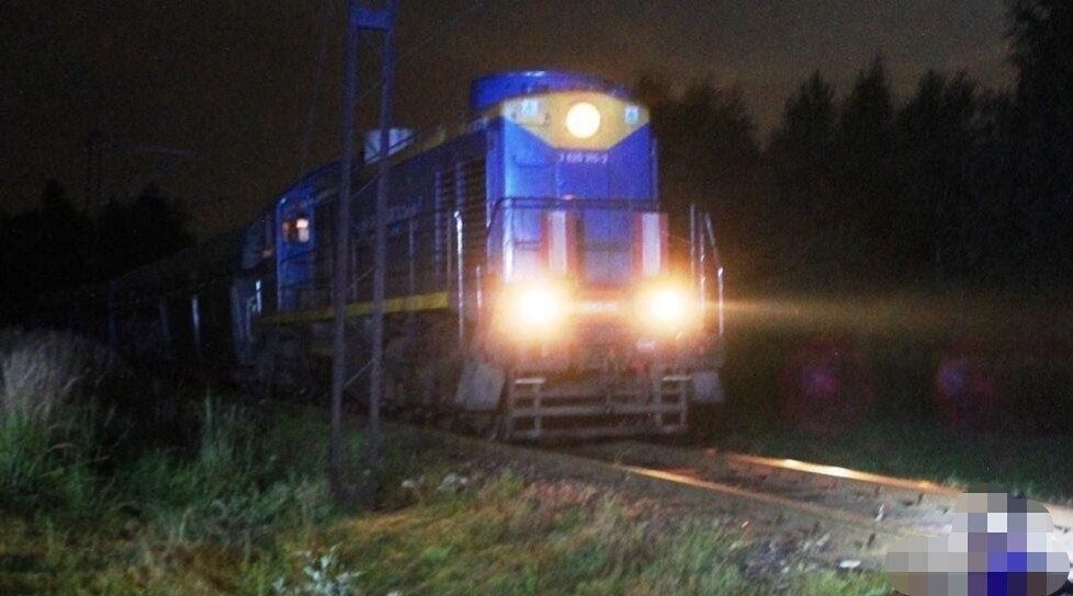 Pociąg śmiertelnie potrącił kobietę.