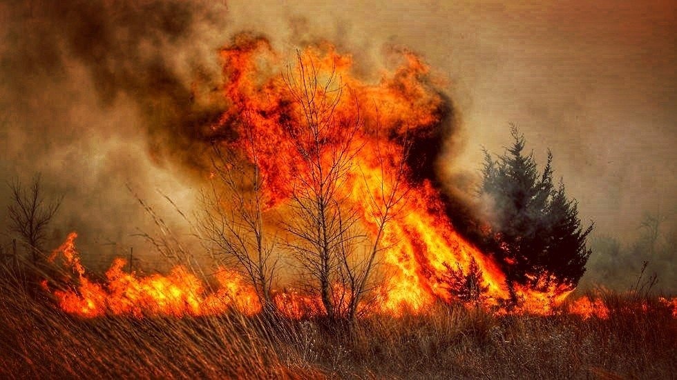 127 pożarów traw od początku roku w powiecie oświęcimskim