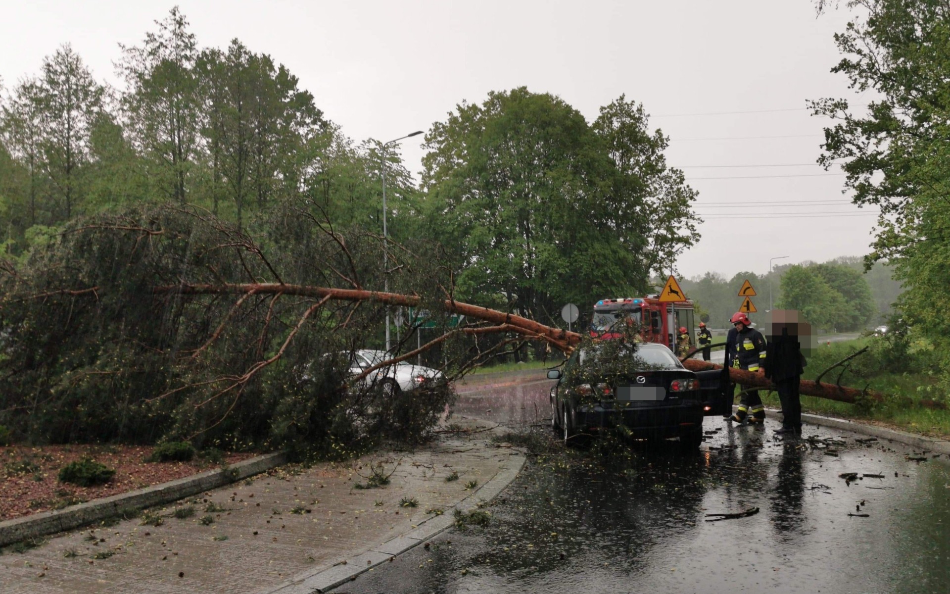 Drzewo spadło na samochód w Bobrku – ZDJĘCIA!