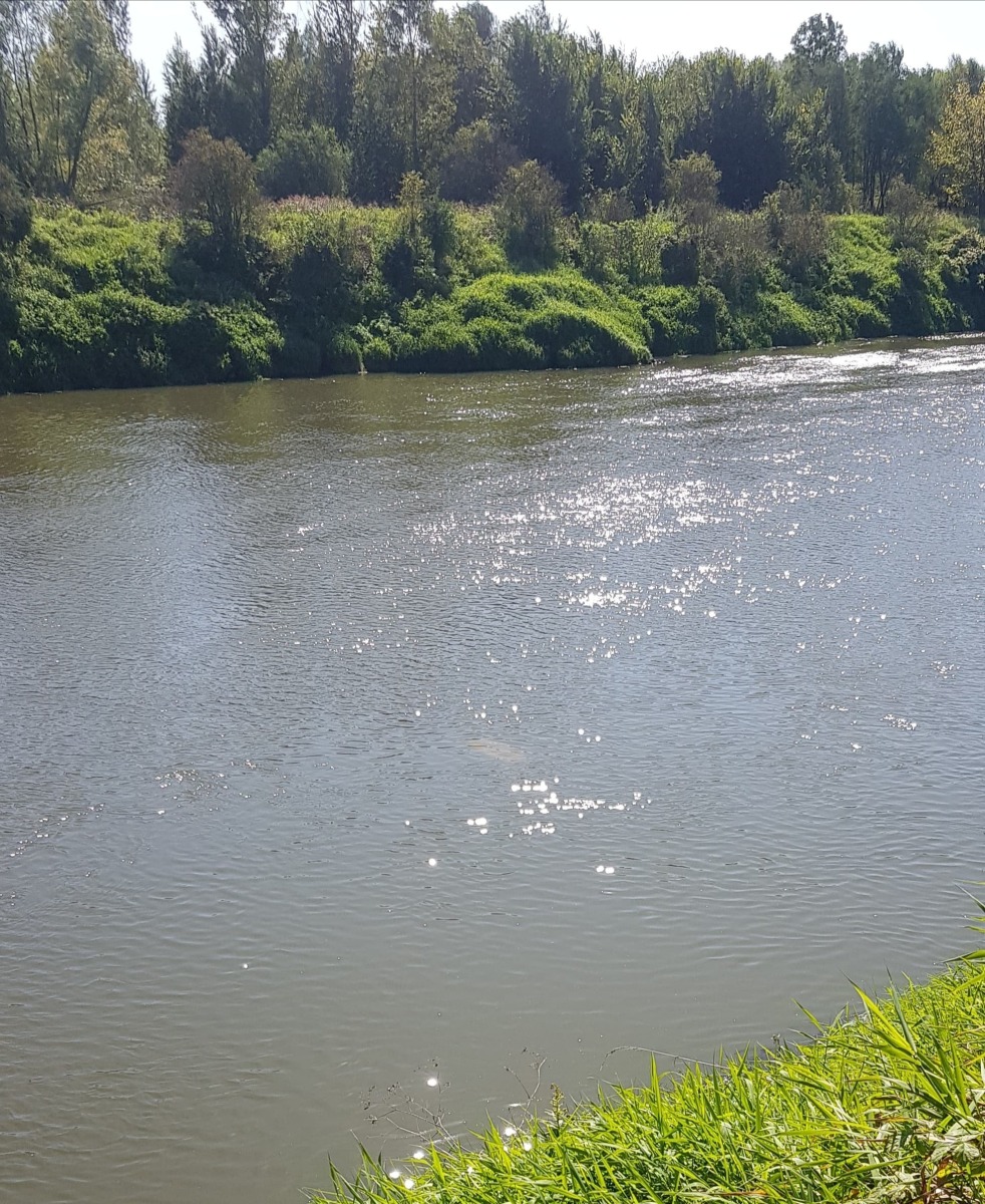 Samochód wpadł do Wisły. Trwa akcja ratunkowa – ZDJĘCIA!