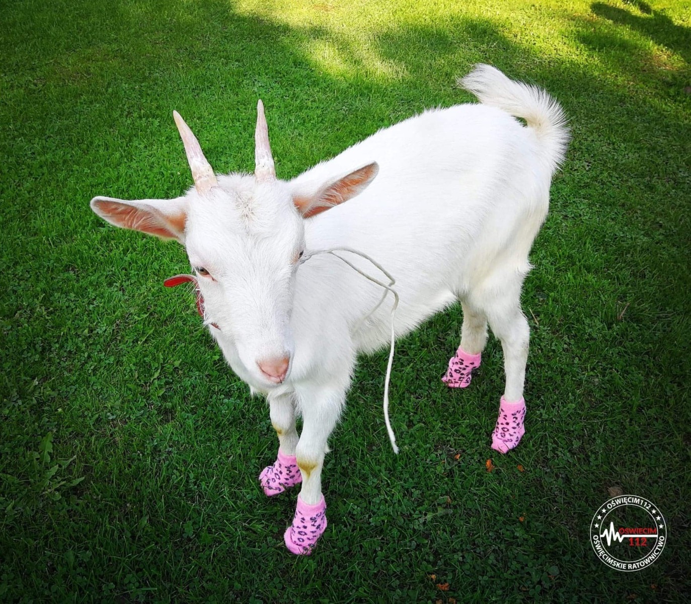 ,,Barbie” nie została zatrzymana. Bez asysty Policji trafiła na 18-stke nowego właściciela