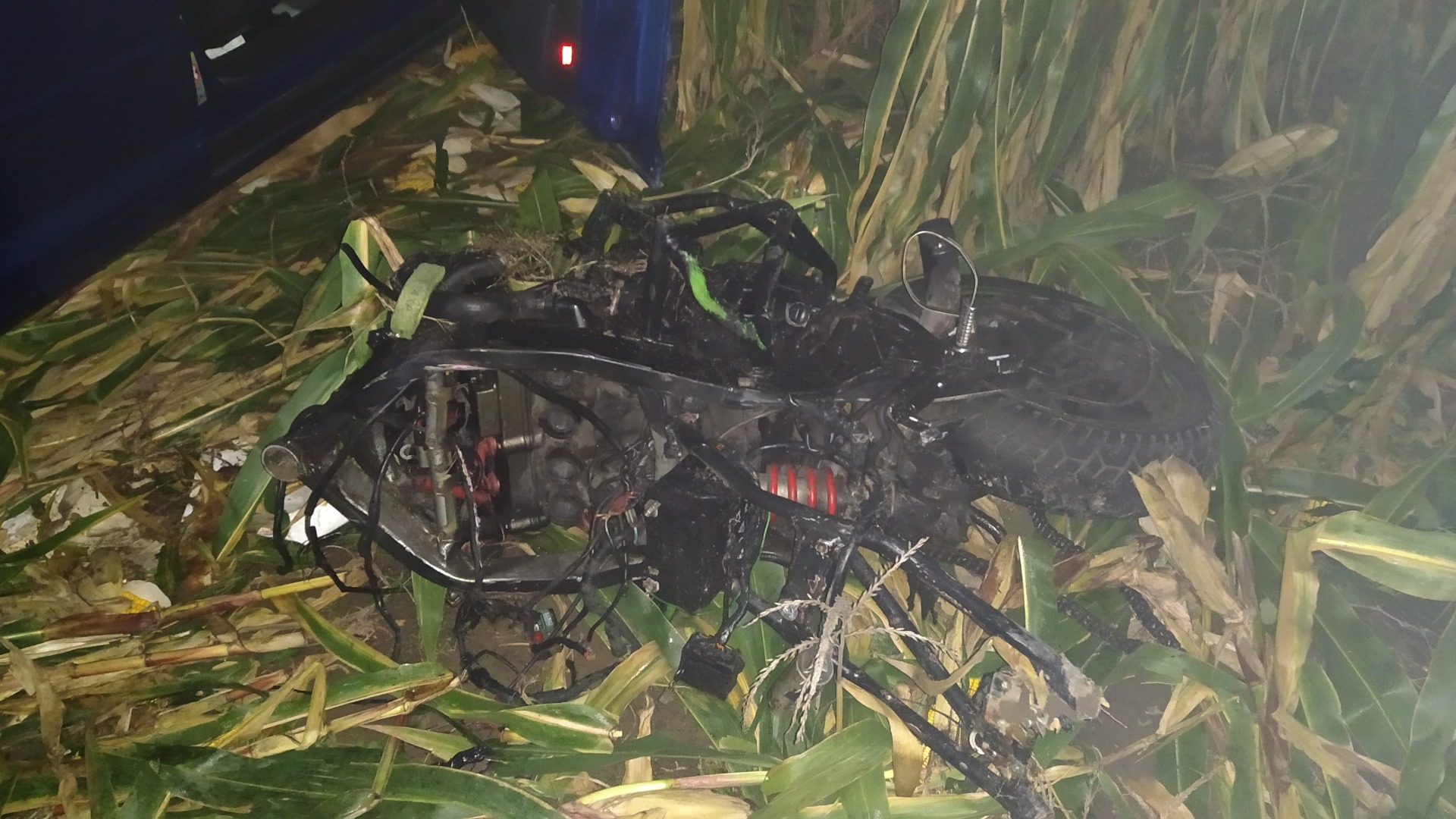 Śmiertelny wypadek w gminie Zator -ZDJĘCIA!