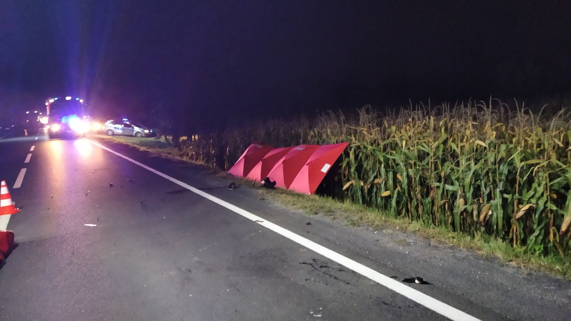 Prośba o udostępnienie. Poszukiwany świadek śmiertelnego wypadku