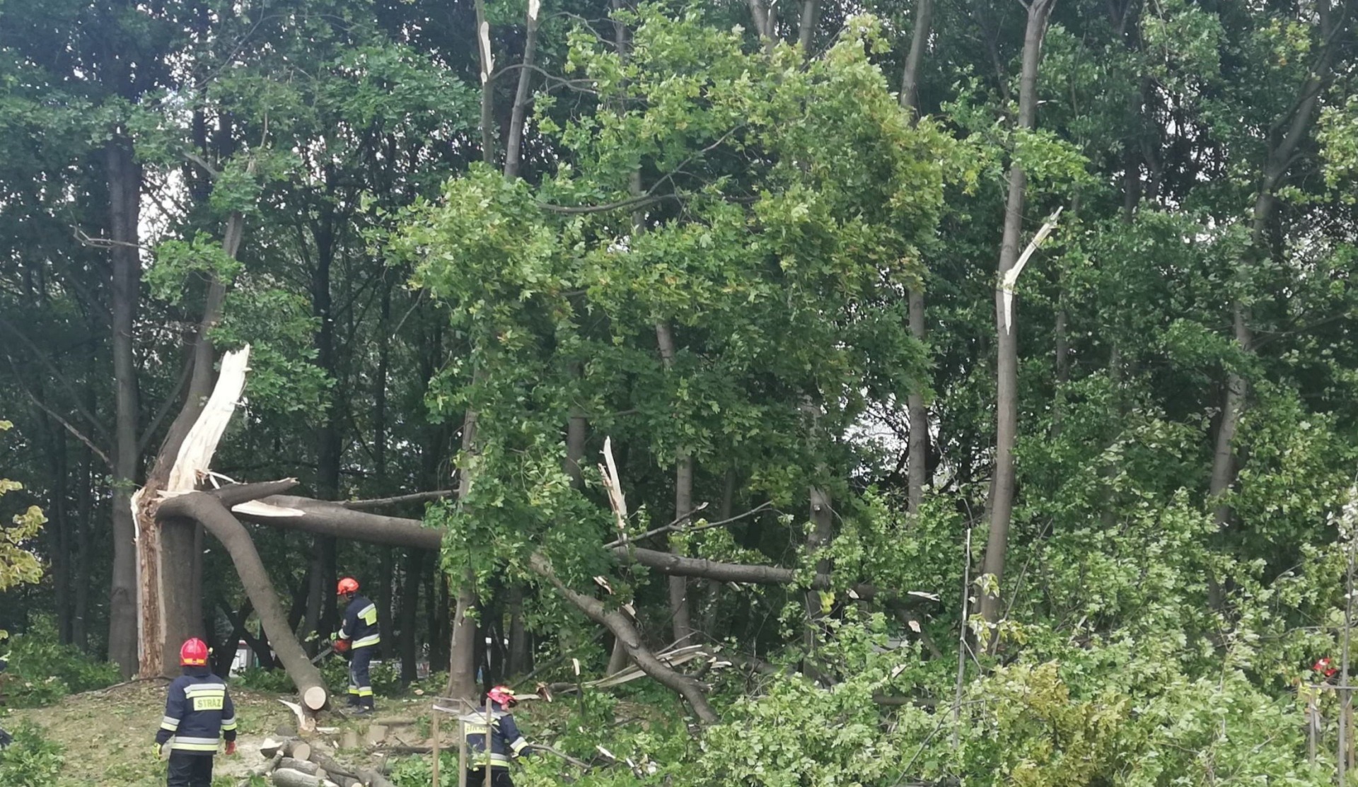 Silny wiatr w powiecie oświecimskim. Strażacy w dalszym ciągu prowadzą działania – ZDJĘCIA, FILM!