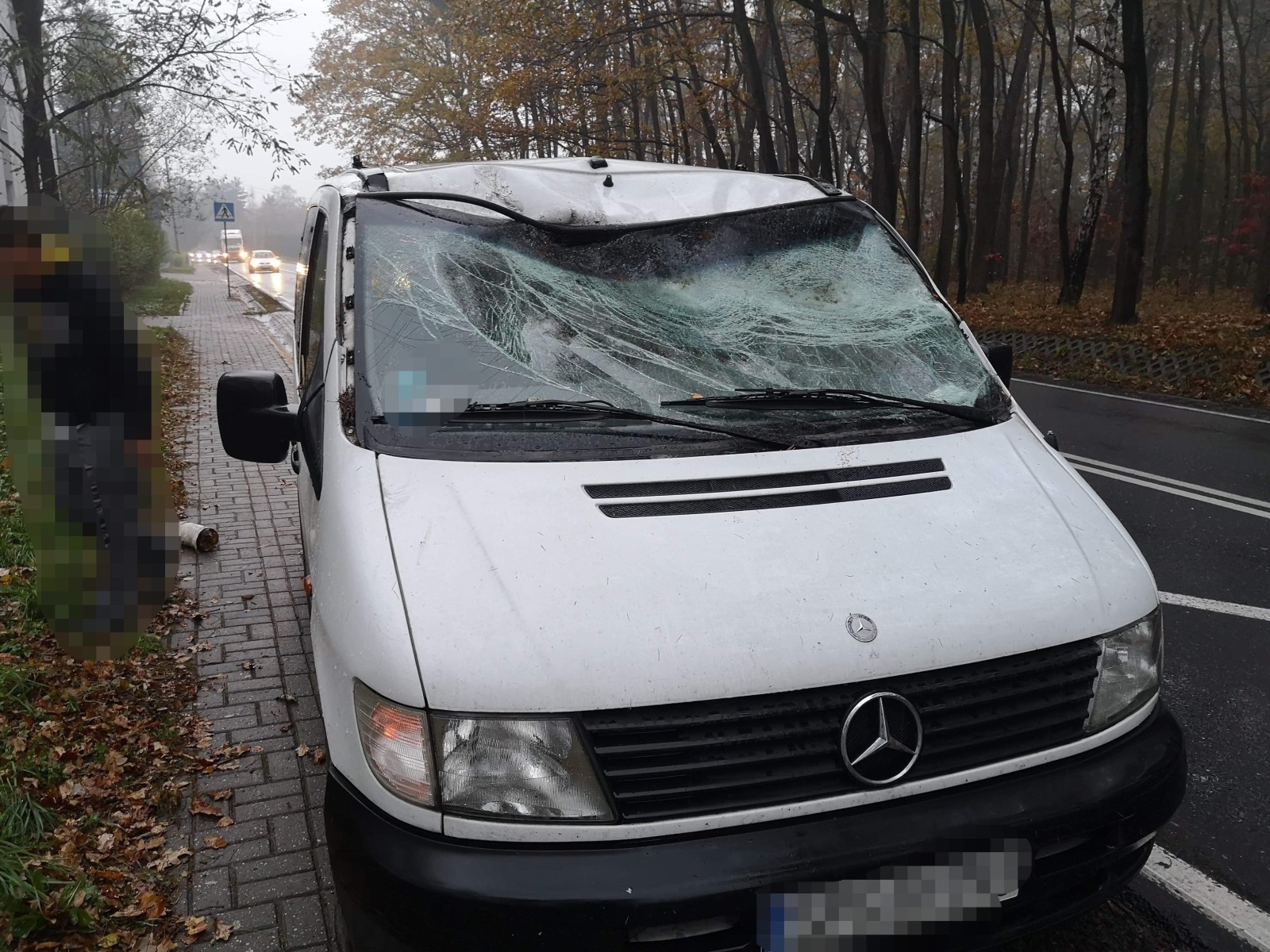 Drzewo przewróciło się na samochód. Jedna osób poszkodowana – ZDJĘCIA!