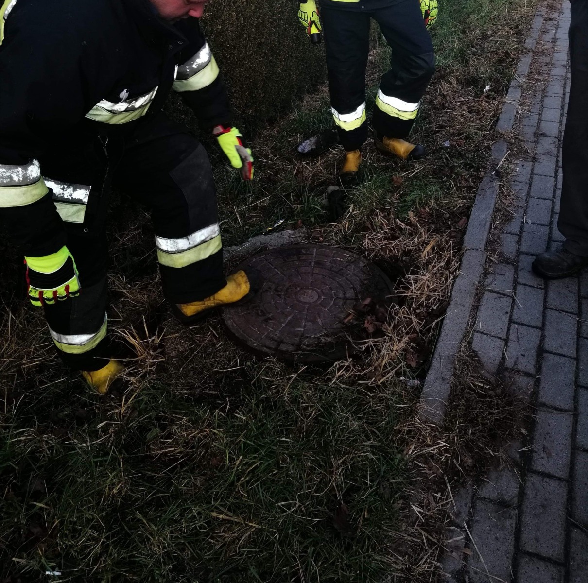 Strażacy na pomoc dzikim zwierzętom