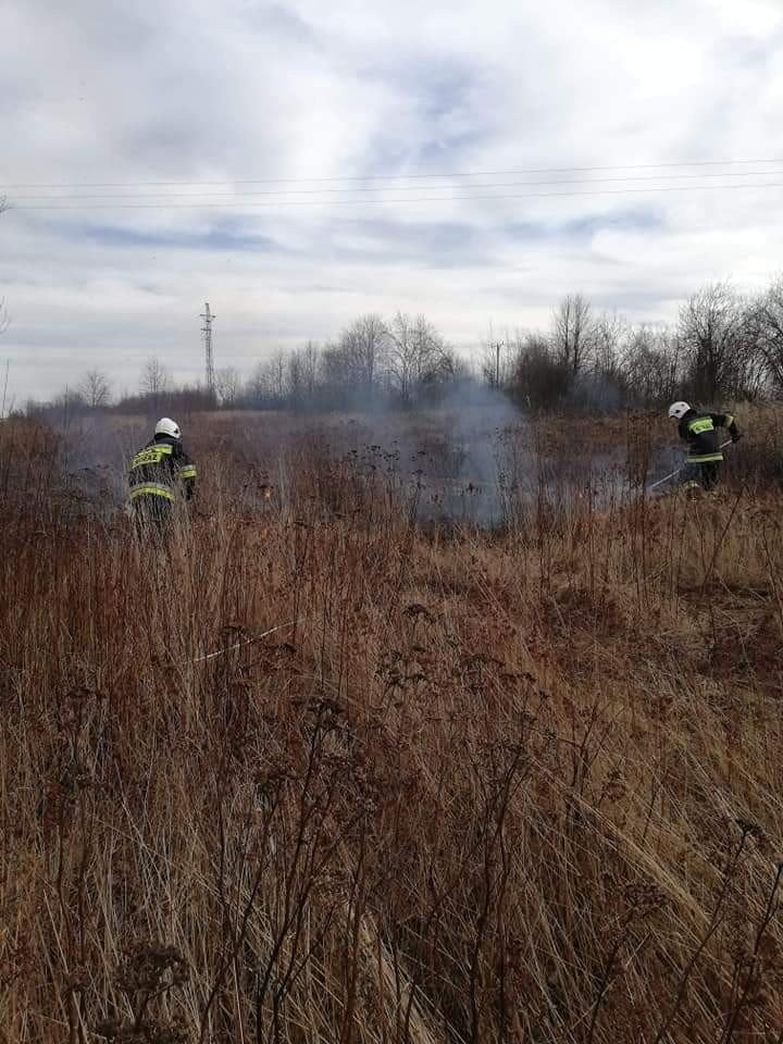 Pierwsze pożary traw i nieużytków w roku 2020