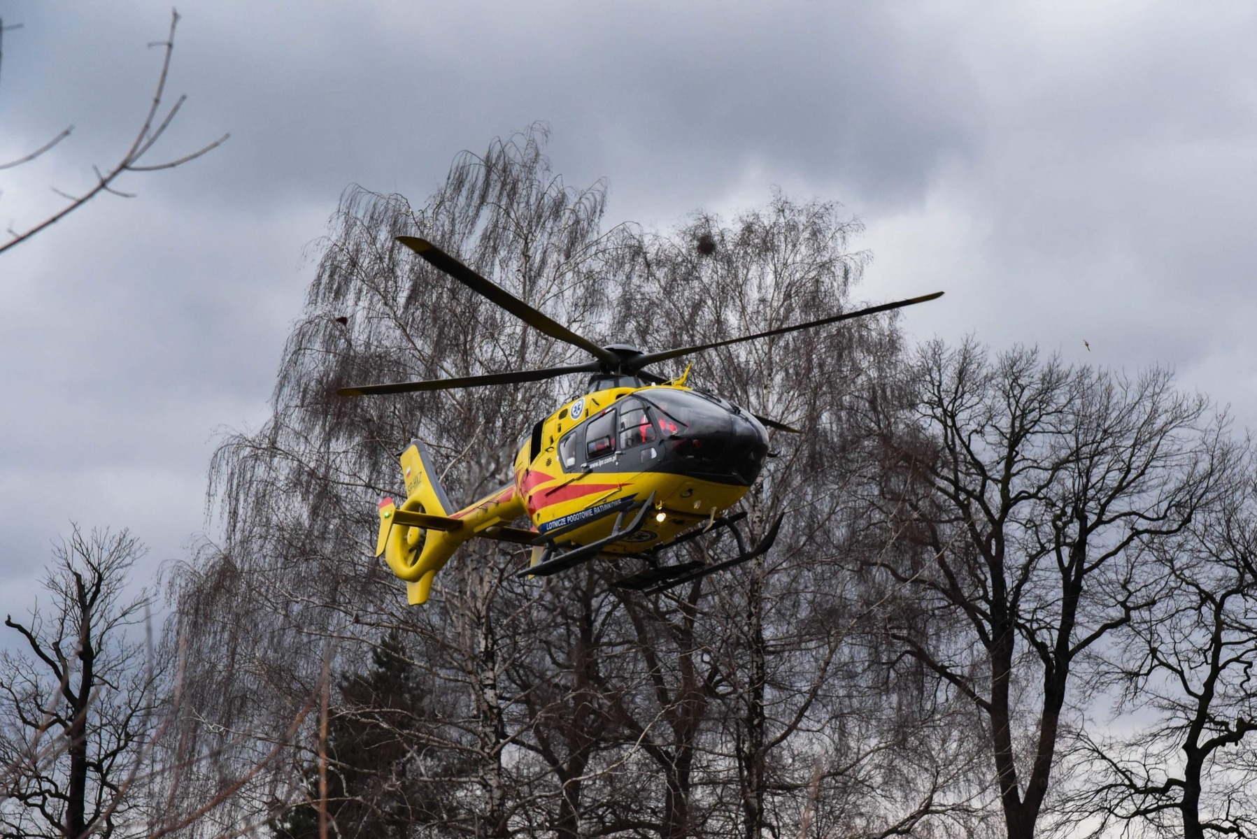 Interwencja LPR w Brzeszczach. Kobieta spadła z drabiny – ZDJĘCIA!