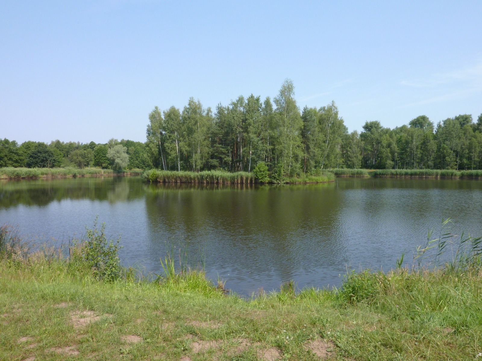 Po pijaku wpadł do stawu, ale nie zapomniał o …  maseczce