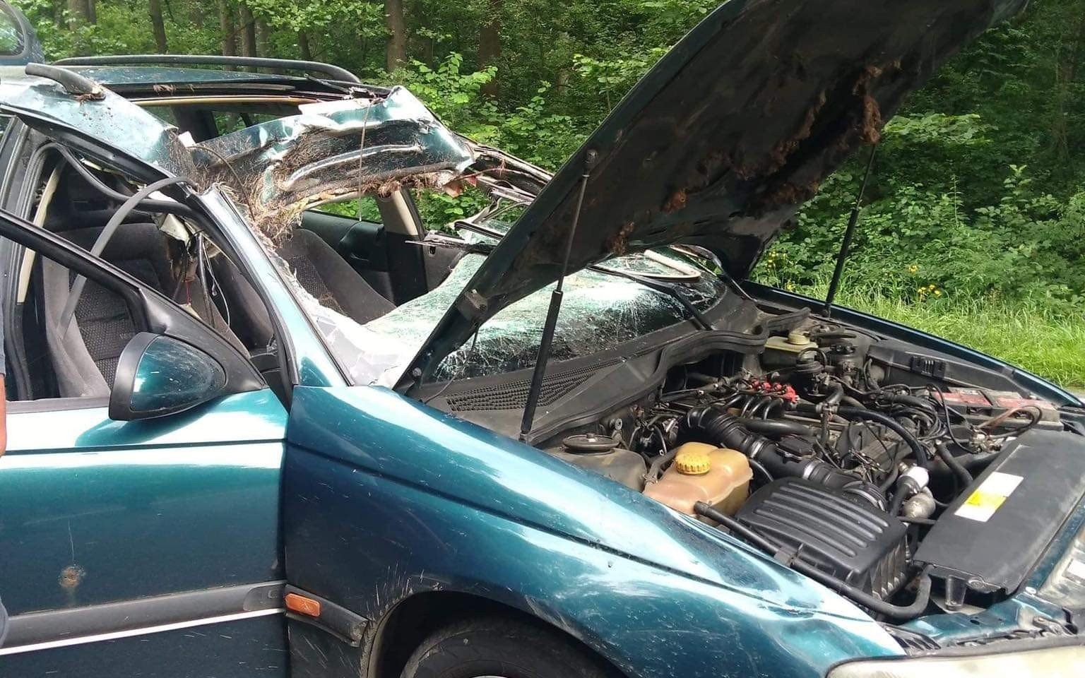 Niebezpiecznie na DW933. Jeleń staranował samochód osobowy – ZDJĘCIA!