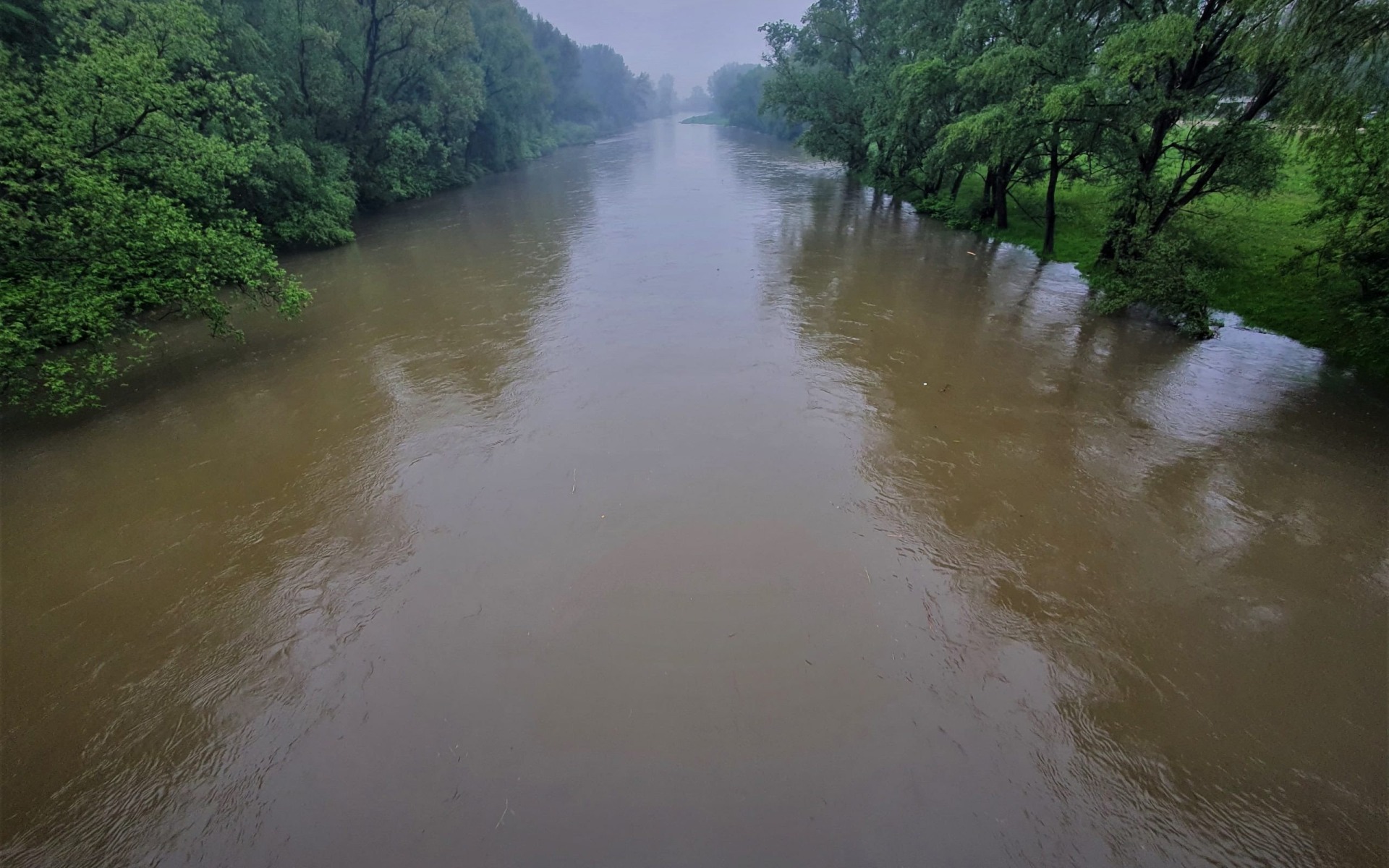 Po Intensywnych opadach deszczu, podnosi się poziom rzek