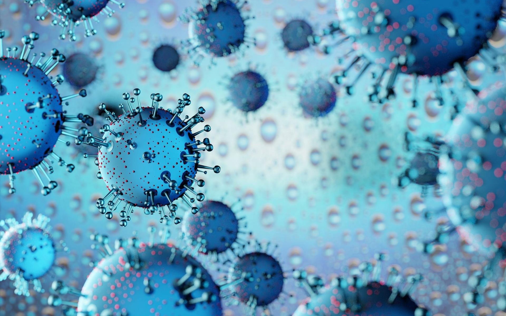 Ostatnia szansa na powrót mieszkańców naszego powiatu z Wielkiej Brytanii drogą lotniczą. Rząd analizuje nowy szczep koronawirusa VUI-202012/01