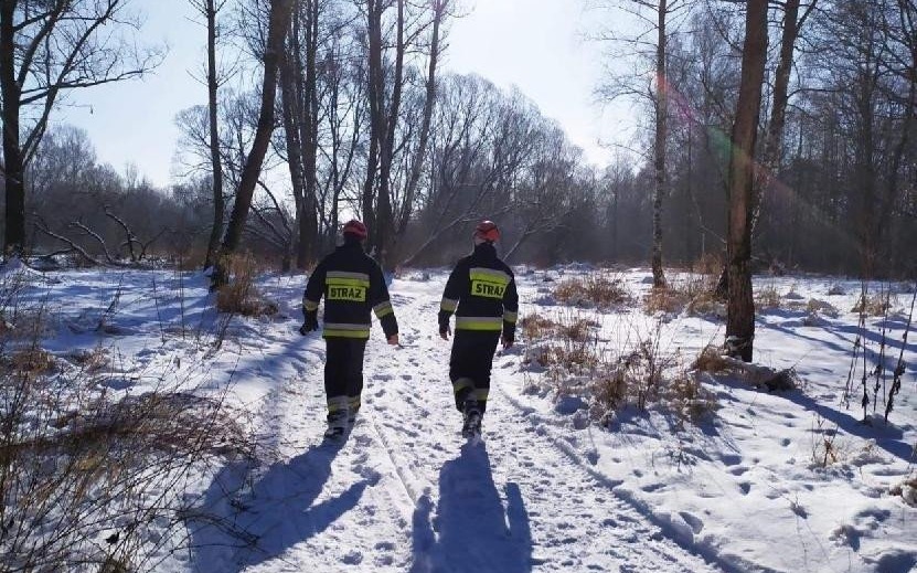 Kolejny dzień poszukiwań zaginionej mieszkanki Kęt – ZDJĘCIA!