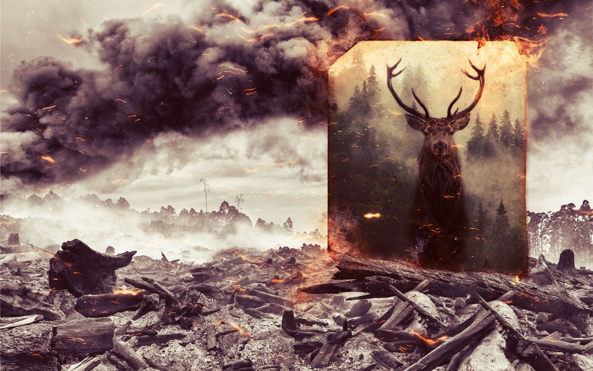 Stop pożarom traw i lasów!