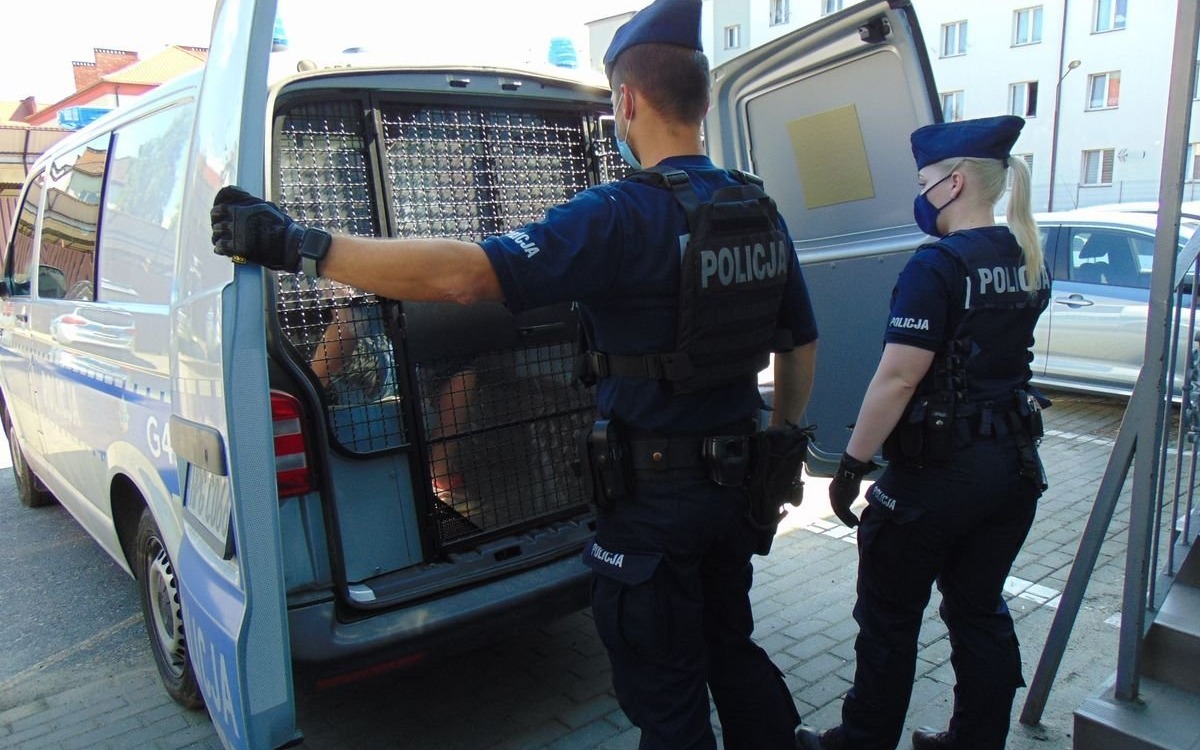 Tymczasowy areszt dla 24-letniego sprawcy wypadku drogowego ze skutkiem śmiertelnym