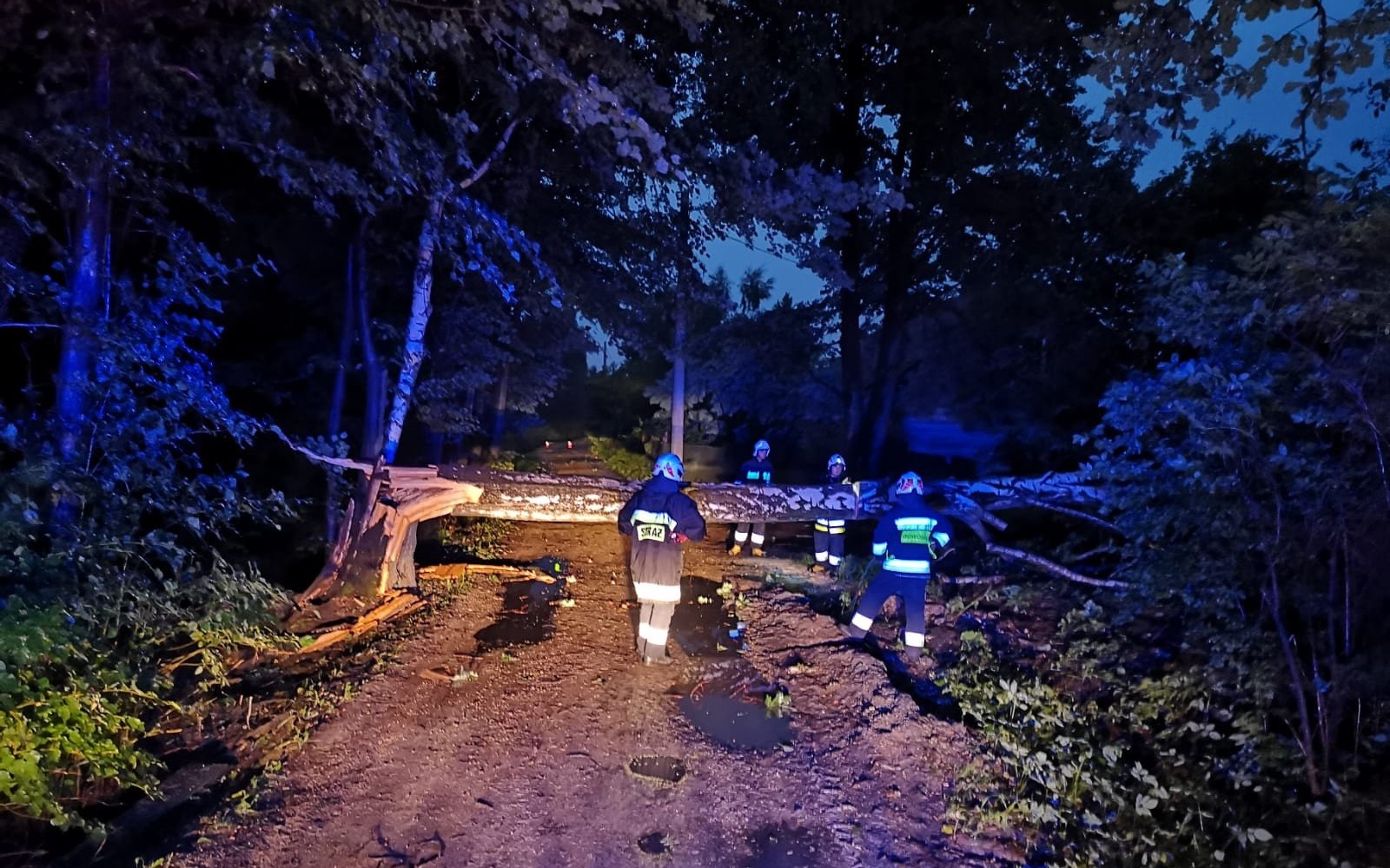 Ponad 30 strażackich interwencji po silnych burzach, które przeszły nad naszym powiatem