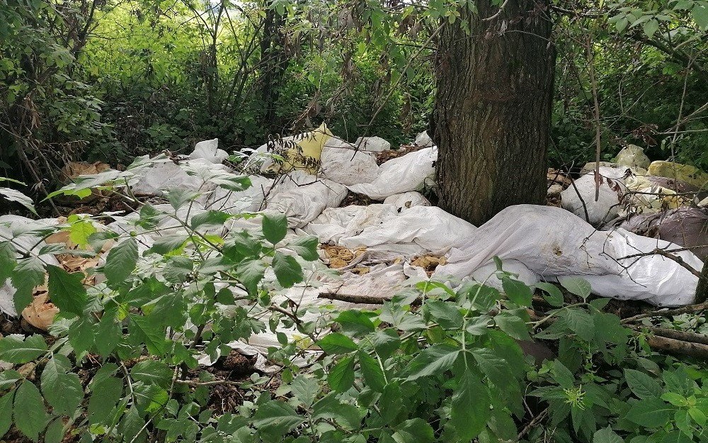 Wyrzucił 50 worków do lasu. Większość wypełniona zepsutym chlebem