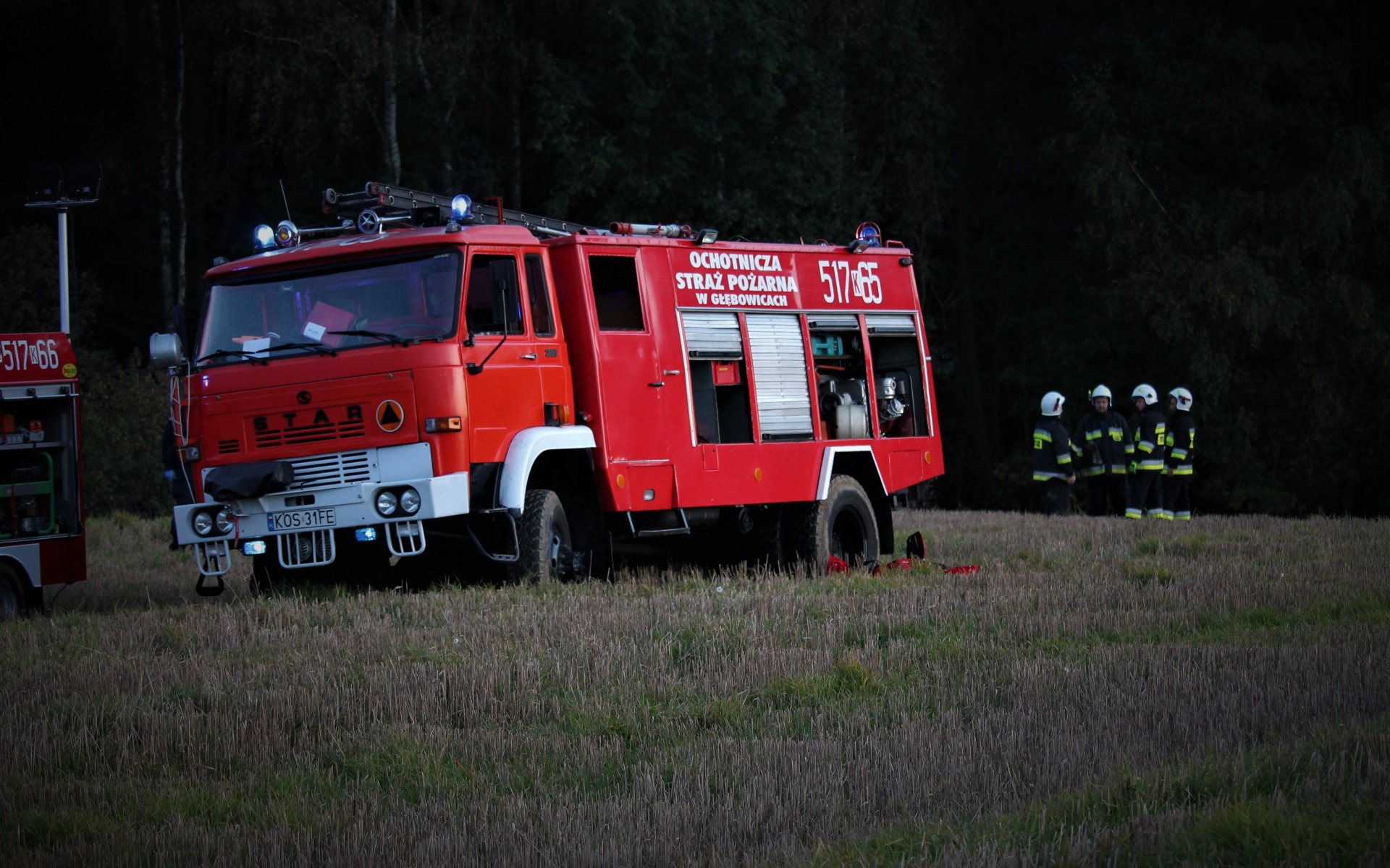 Tragiczny wypadek w Głębowicach. Drzewo spadło na mężczyznę – ZDJĘCIA!