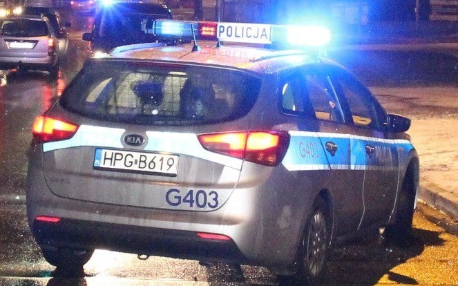 Dwa małe psiaki zamknięte w samochodzie przez kilka godzin