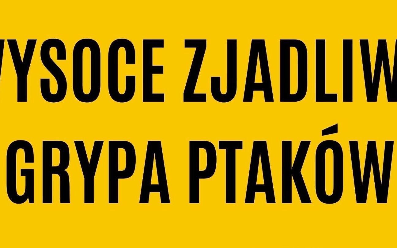 Komunikat w sprawie zjadliwej grypy ptaków