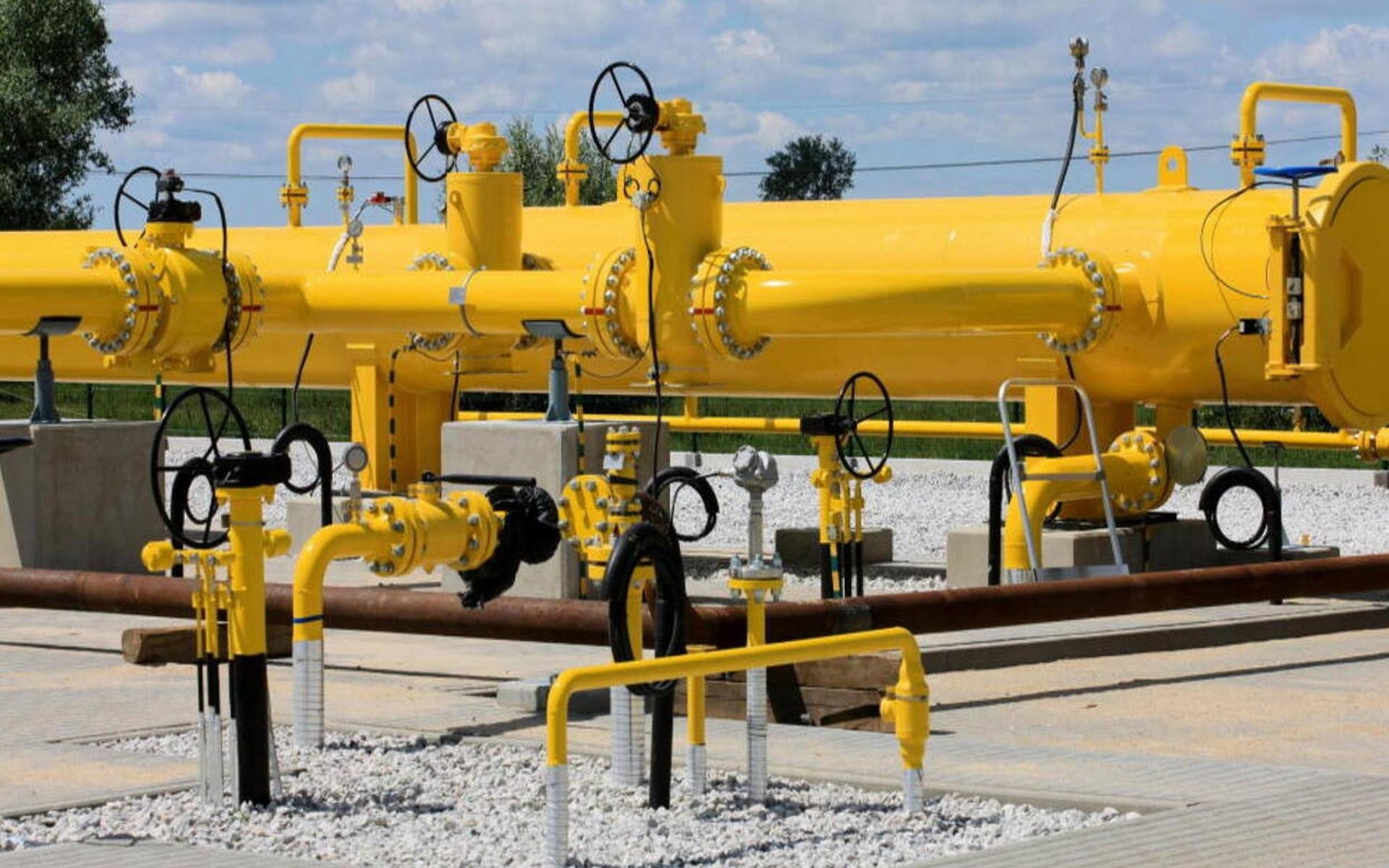 Chciał zainwestować w akcje, stracił 30 tysięcy złotych