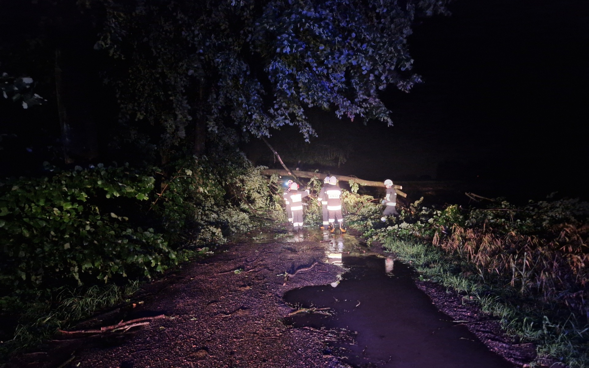Niespokojna noc w powiecie. Wiatr łamał drzewa i zrywał poszycia dachowe – FILM, FOTO!