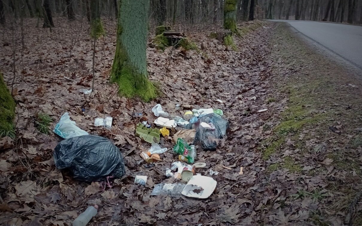 Śmieciowe problemy przy drogach w powiecie oświęcimskim