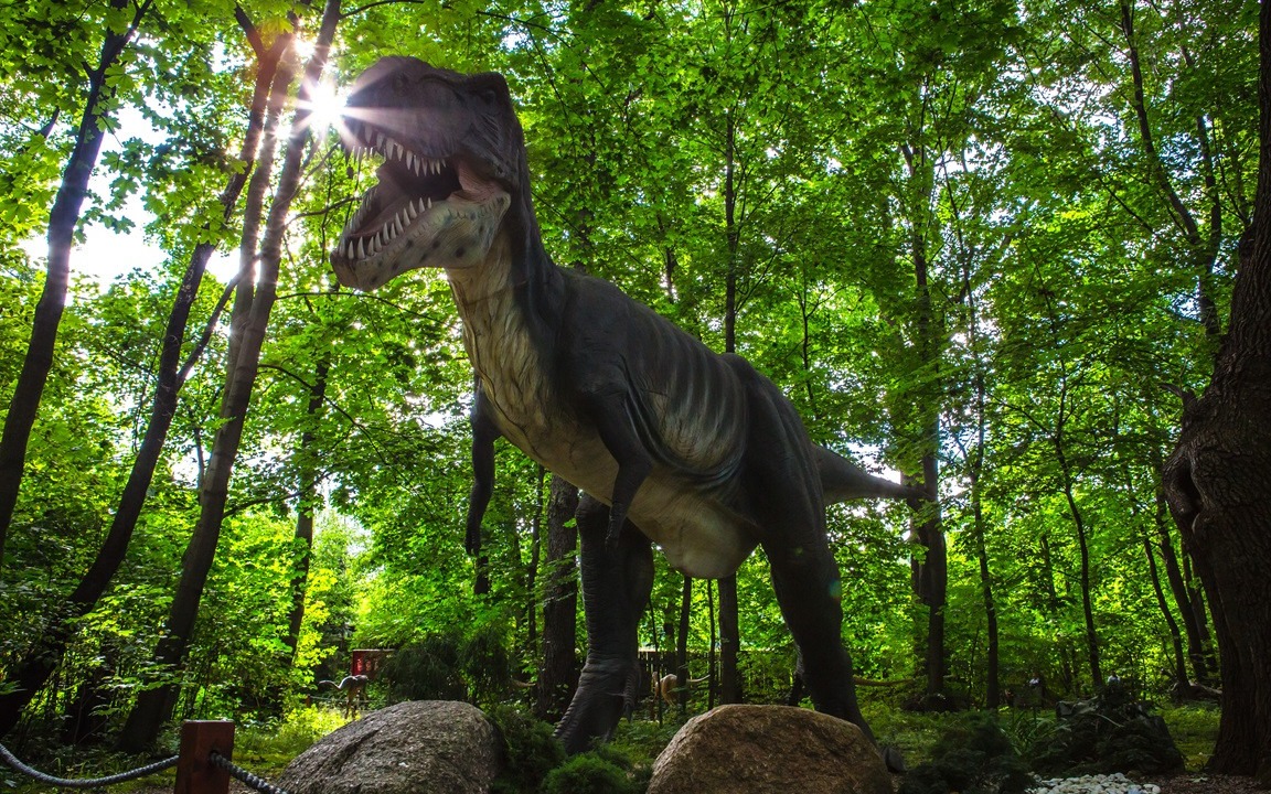 Zatorland – rozwój przez zabawę!