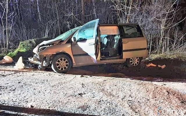 Pijana matka spowodowała wypadek? Oskarżyła... sarnę