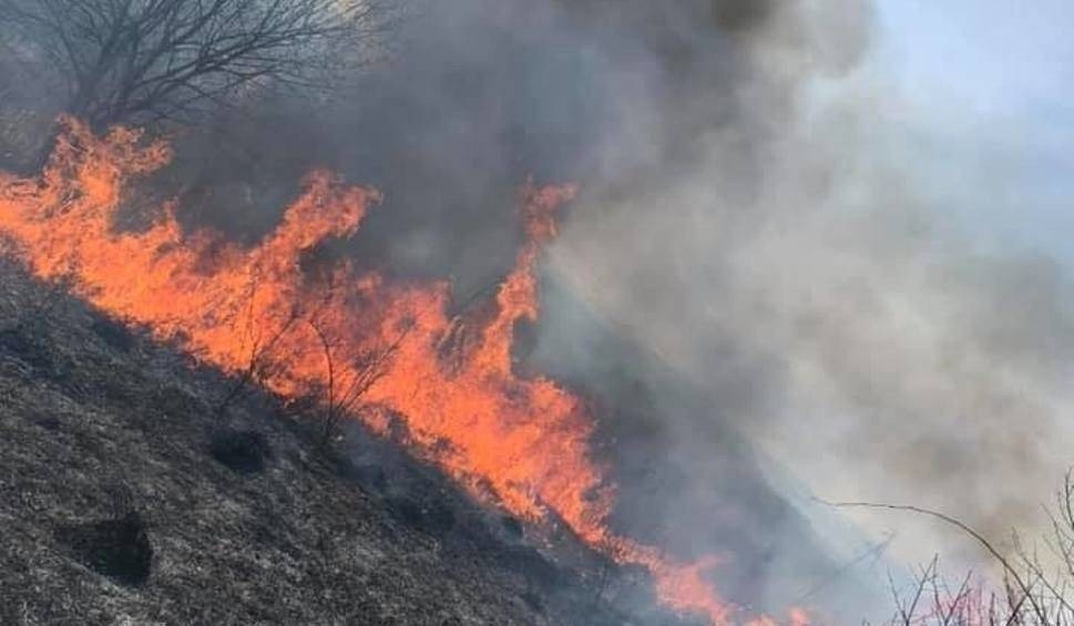 90-latka z zapalniczką biegała po wsi. Jedna osoba poparzona
