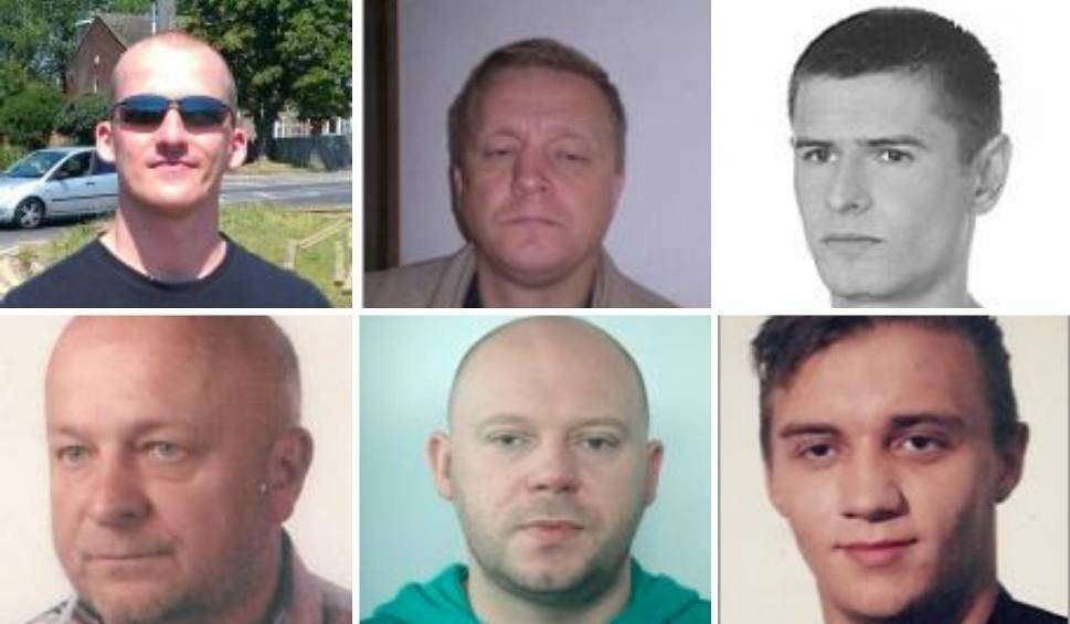 Oszuści i naciągacze ścigani przez małopolską policję