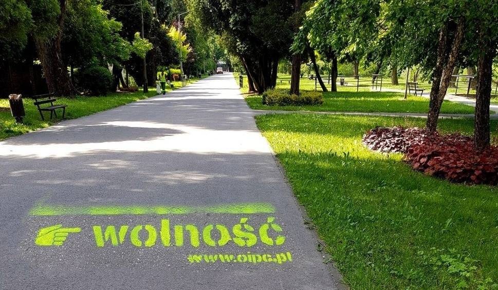 Wolność, równość, miłość, praworządność… W Oświęcimiu