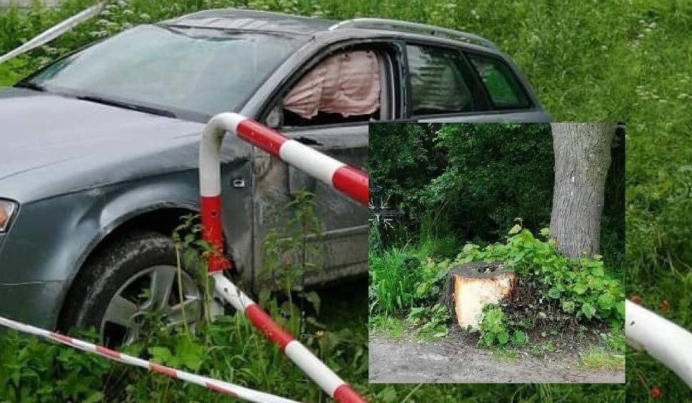 Pień przy drodze. Rodzina mogła zginąć przez zaniedbanie?
