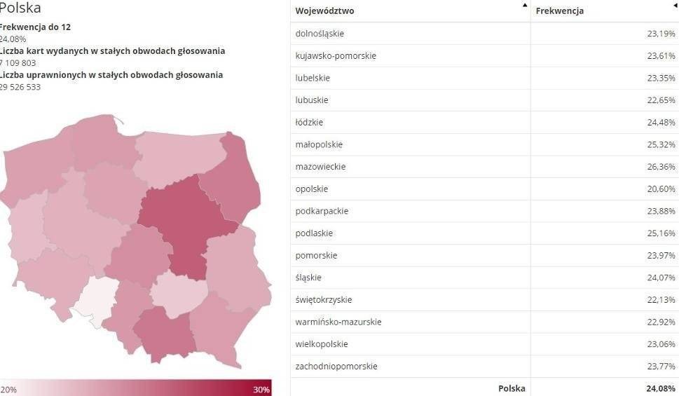 Wybory 2020. Bardzo duża frekwencja [DANE GODZ. 12.00]