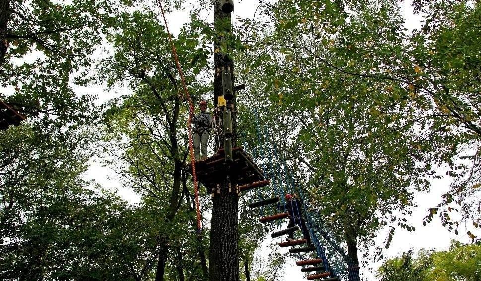Wypadek w parku linowym. 10-latek spadł z wysokości