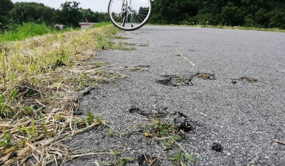 Wiślana Trasa Rowerowa przerasta... trawami. Jest na niej sporo pęknięć