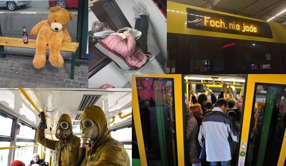 Przedziwne sytuacje w MPK. ZDJĘCIA z autobusów i tramwajów