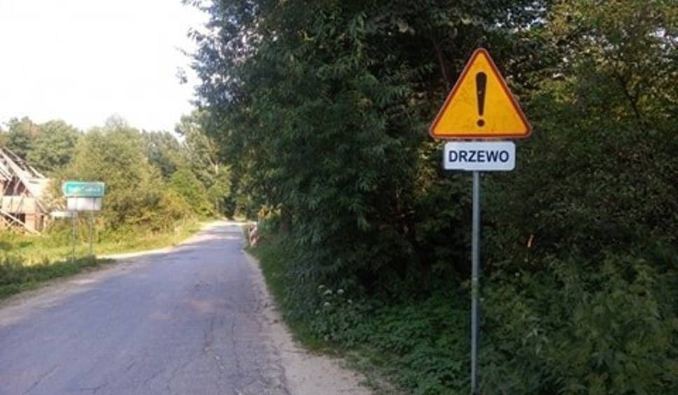 Zamiast usunąć pniak, postawili znak! I to wszystko?