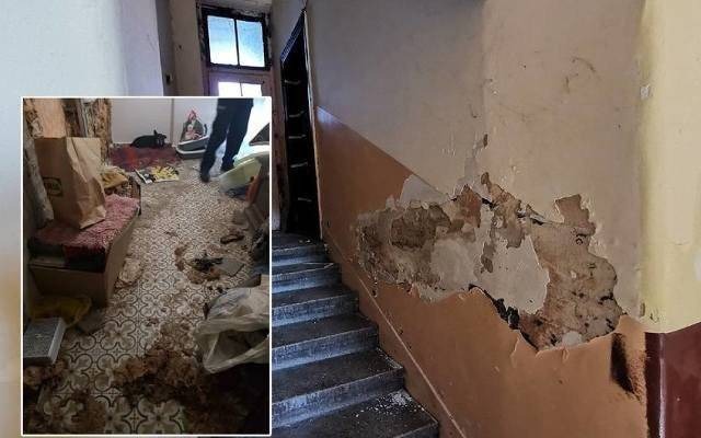 Tragedia zwierząt z Chrzanowa trwała latami?