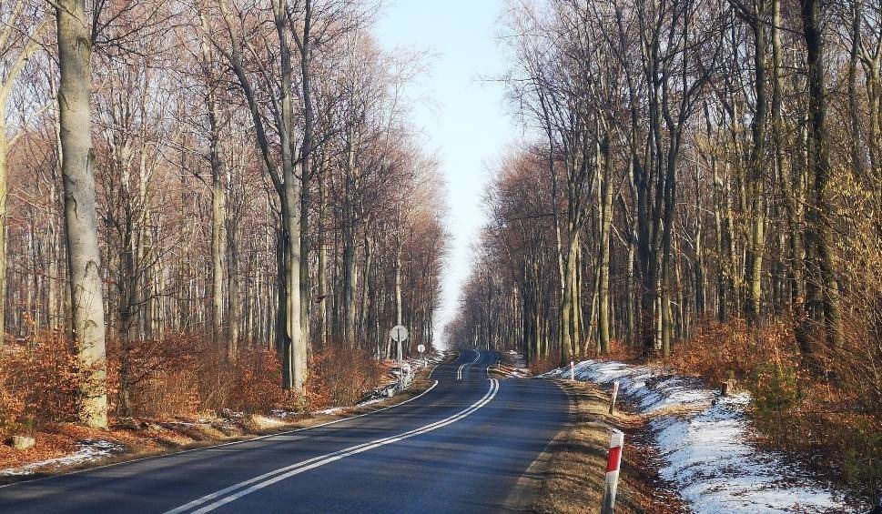 Co miesiąc fotografował to samo miejsce. Zobaczcie efekt