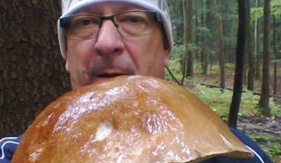 Prawdziwek - gigant i inne grzyby. A wszystkie zdrowiutkie