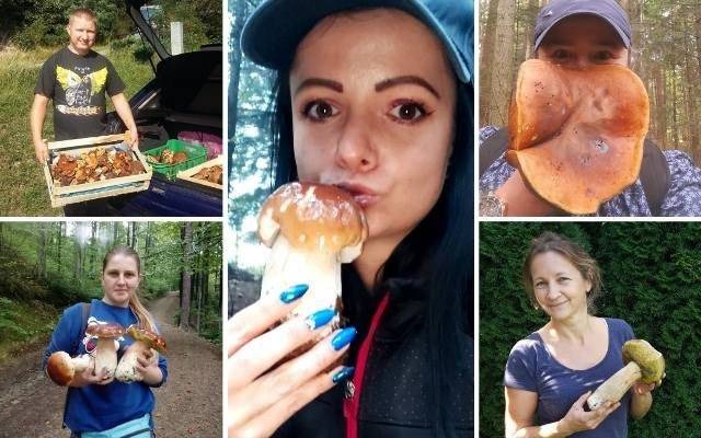 Grzybowe hity sezonu 2020 z małopolskich lasów [GALERIA]