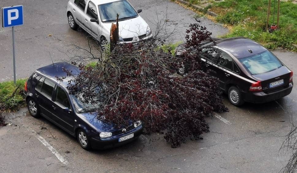 Kęty. Wiatr przewrócił drzewo na samochód. Spore straty
