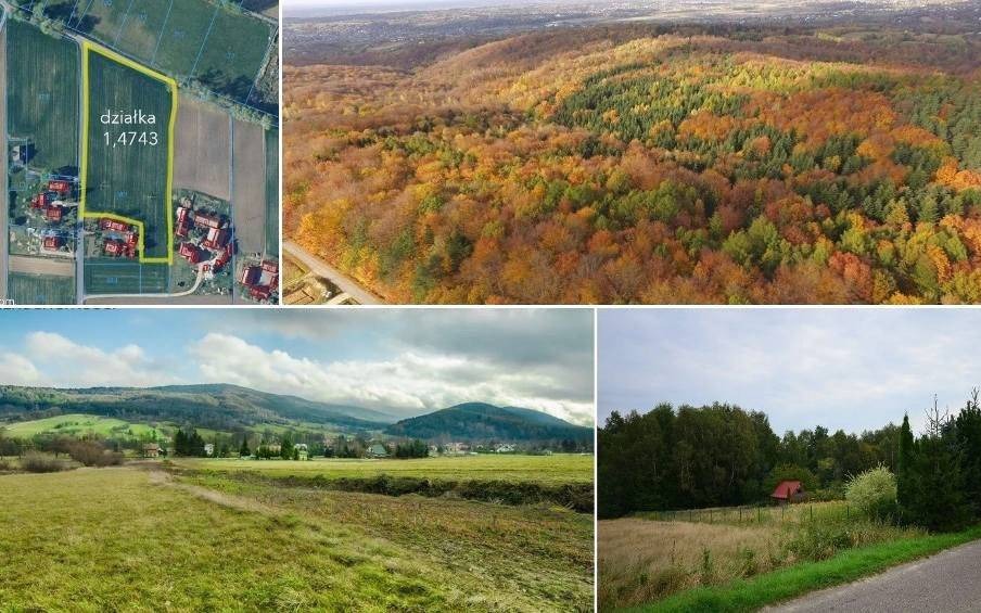 Tanie działki do kupienia w Małopolsce. Ich cena nie przekracza 10 zł za metr!