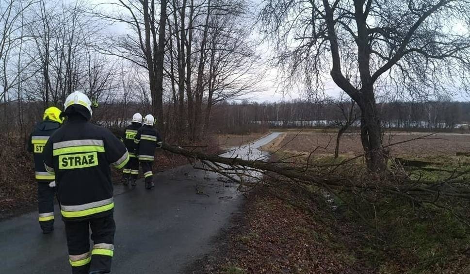Wichura przewracała drzewa. Blaszany garaż wiatr rzucił na drogę