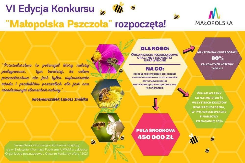 Blisko pół miliona na inicjatywy pszczelarskie