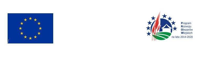 Zakończenie budowy kanalizacji sanitarnej w Grodzisku.