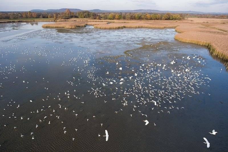 Gospodarstw rybackie na terenie Doliny Karpia, które należą do Ekomuzeum Doliny Karpia